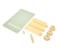 Fender Strat Accessory Kit Aged White