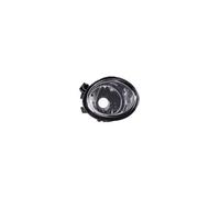 Faro Fendinebbia Nebbia Sinistro Per BMW 5 Serie E39 E46