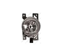 Fendinebbia Destro Per Fiat Doblo' Dal 2009 Al 2014 Lato Destro 51814396