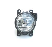 VALEO Lampadina alogena per fendinebbia 45185 per i modelli di veicoli RENAULT Multiapplications
