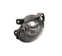 FENDINEBBIA ANTERIORE SINISTRO BLIC 5402-01-043081P VW AUDI SEAT SKODA