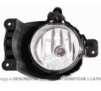 Fendinebbia Chevrolet-Daewoo Aveo 2011 Destro H27 96830992