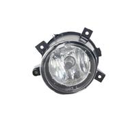 fendinebbia Compatibile Con Chery Per Tiggo 5 3 5X 3X 7 2014 2015 2016 2017 2018 Paraurti Anteriore Fendinebbia Lampada Di Segnalazione Luce Guida Accessori Per Auto(Left)