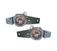 Fendinebbia Compatibile Con Toyota Per Daihatsu Per Terios J100 1999-2005 Paraurti Anteriore Luce D'angolo Fendinebbia Anteriore Luce Di Direzione Luce Di Guida(1 pair)