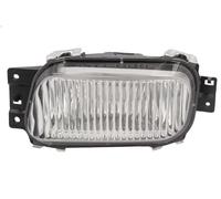 Fendinebbia DEPO 214-2043L-UED per Canter (FE5, FE6) VI 2.977 2005-2008