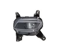 Fendinebbia DEPO 221-2070R-AE