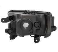 Fendinebbia DEPO 665-2020R-UE