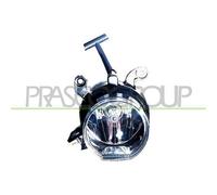 Fendinebbia Destro Bmw 3 Series - E46 Dal 1998 Al 2001 Lato Destro 63178371908