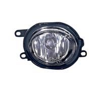 Fendinebbia Destro DX Rover 45