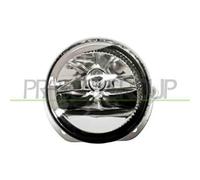 Fendinebbia Destro Mercedes lass Coupe (c216) 2006/2013 Lato Dx A2048202256