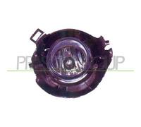 Fendinebbia Destro Nissan Navara / Pathfinder (d40) 2005/2010 Lato Dx 26150ea500