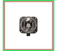 Fendinebbia Destro-Sinistro Mod Fino 04 Citroen Berlingo-(Anno 2003-2008)