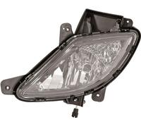 Fendinebbia dx ix20 10-07.15 H27W/2.P13W con luce diurna