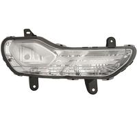 Fari Fendinebbia Faro Anti Nebbia Destra WY21W per Ford Kuga II DM2