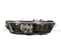 Fendinebbia Dx per SKODA RAPID