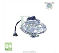 Fendinebbia Eq Anteriore Dx Destro Per Hyundai Atos ##M