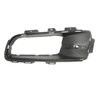 Fendinebbia Finta Apertura Anteriore Sinistra Adatta: BMW X5 E70 02.07-04.10