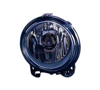 Fendinebbia H11 sx per Bmw X5 E53 dal 10/2002 in poi