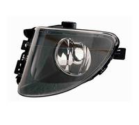 Fendinebbia Bmw Serie 5 F10/F11 2010 Sinistro H8 63177216885