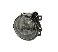 HELLA 1N0 271 289-421 Fendinebbia HB4 per VW Polo Schrägheck (6R1, 6C1) CC (358)