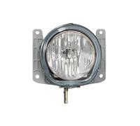 Fendinebbia MAGNETI MARELLI 715820054000