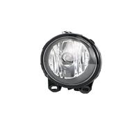 Fendinebbia Per BMW Serie 2 3 5 E92 E93 F07 F10 F22 F23 Per M3 Per M5 Paraurti Anteriore Luce Antinebbia 63177839865 63177839866 Gruppo Lampada Fendinebbia(Right With Halogen)