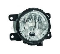 DIEDERICHS Fendinebbia compatibile con CITROËN FORD MERCEDES-BENZ MITSUBISHI