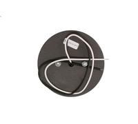 Fendinebbia posteriore WAŚ 168