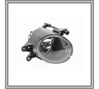 Prasco Fendinebbia AD0204416 sinistro per Volvo V50 (545), C30 (533), S40 II (544)