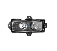 Fendinebbia Sinistro DT SPARE PARTS per U.a. Renault Camion