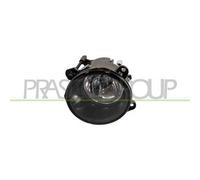 Fendinebbia Sinistro Land Rover Range Rover-L322-(Anno 2006-2009)
