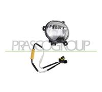 FENDINEBBIA SINISTRO per AUDI Q5, A4 B8 e A4 B8 Avant, SEAT EXEO ST