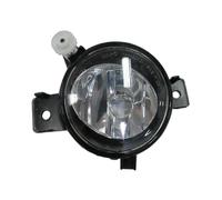 Fendinebbia Sinistro SX BMW X5 E70 2010+ - (H11)