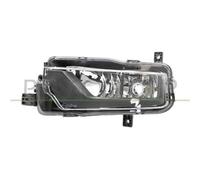 Fendinebbia Sinistro Volkswagen Crafter / Man / Tge Dal 2017 Lato Sx 7c0941661b