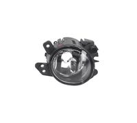 Fendinebbia Smart Fortwo destra