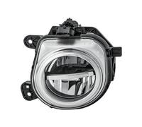 Faro fendinebbia alogeno Sx LED 1N0 354 876-011 HELLA per BMW X5 X6