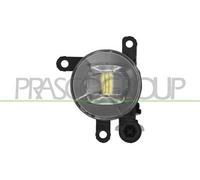 PRASCO OP0384416 Fendinebbia