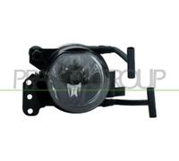Fendinebbia Sx per BMW 3 5