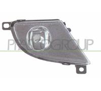 Fendinebbia Sx per BMW 5