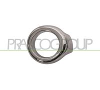 Cornice Fendinebbia Sinistra Cromata FORD ECOSPORT 2013/2017 LATO SX 1818091
