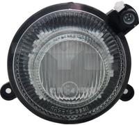 Fendinebbia Sx per SMART CITY-COUPE FORTWO