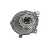 Fendinebbia TRUCKLIGHT FL-SC009L sinistro