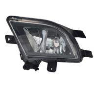 TYC Fendinebbia 19-6124-01-9 Alogeno sinistro H8 per VW Jetta IV