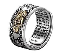 Feng Shui Anello Amuleto regolabile Amuleto Lucky Mantra Mantra Protection Reste Ring per donne uomini Feng Shui Anello