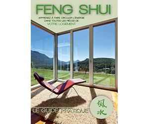 Feng shui le guide pratique - dvd