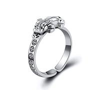 Feng Shui Pixiu Mantra Ring for Men Women Adjustable for Wealth And Protection Good Luck Money Amulet Love Health Ring Gift for Mum