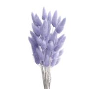 FENGCHUANG Code di Coniglio Erba della Pampa, -Pianta Boho Fiori Secchi Naturali, 50 Pezzi Pampas Decorative per Decorazioni Casa Tavola Matrimonio (Blu Chiaro)