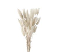 FENGCHUANG di Bouquet di Erba di Pampas Secca 60 Pezzi Decorazione Tavolo Boho Fiori Secchi di Coda di Coniglio Pampas Marrone Pampas per Matrimoni Decorazioni per la Casa (Bianca)