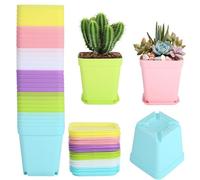 fengxuanwl 30 vasetti per coltivazione, trasparenti, con sottovaso, diametro 7 cm, mini vasi quadrati in plastica, adatti per semi, piante grasse, piantine (multicolore)
