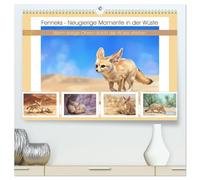 Fenneks - Neugierige Momente in der Wüste (hochwertiger Premium Wandkalender 2027 DIN A2 quer), Kunstdruck in Hochglanz: Wenn riesige Ohren durch die Wüste streifen